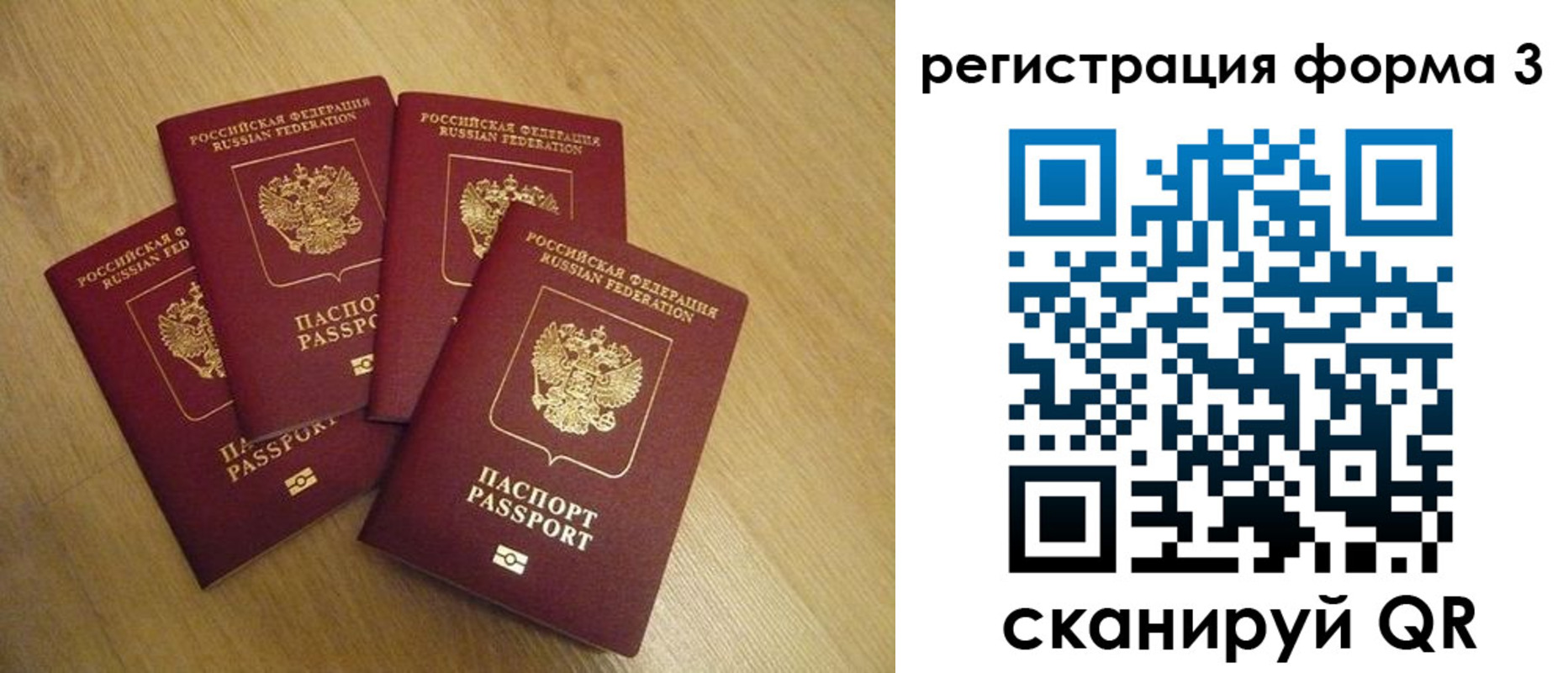 прописка для школы в Струнино